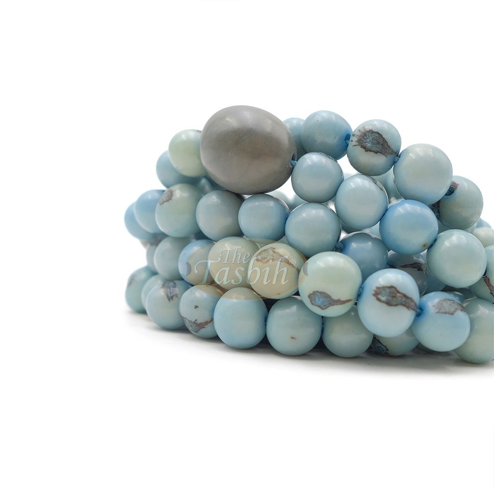Sky Blue Natural Colored Dye Eco-Friendly Sustainable Original Açai Seed 9 mm Beads Traditional Tasbih
