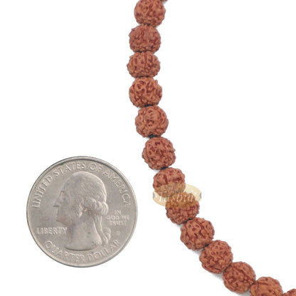 Islamic Prayer Small 6.5 mm Jenitri Seed Tasbih with 99 Beads On Black Satin Cord and 13 mm Divider