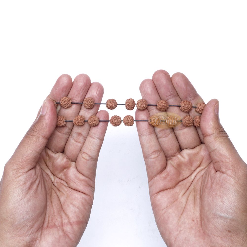 Rudraksha Beaded Bracelet – Jenitri Seed Healing Prayer Beads with 25 Beads On Elastic Cord