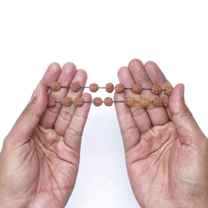 Rudraksha Beaded Bracelet – Jenitri Seed Healing Prayer Beads with 25 Beads On Elastic Cord