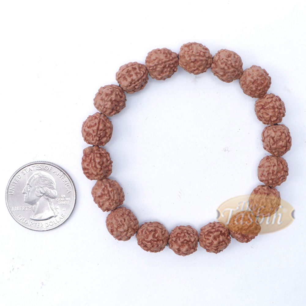 Rudraksha Beaded Bracelet – 10 mm Jenitri Seed Healing Prayer Beads with 19 Beads On Elastic Cord