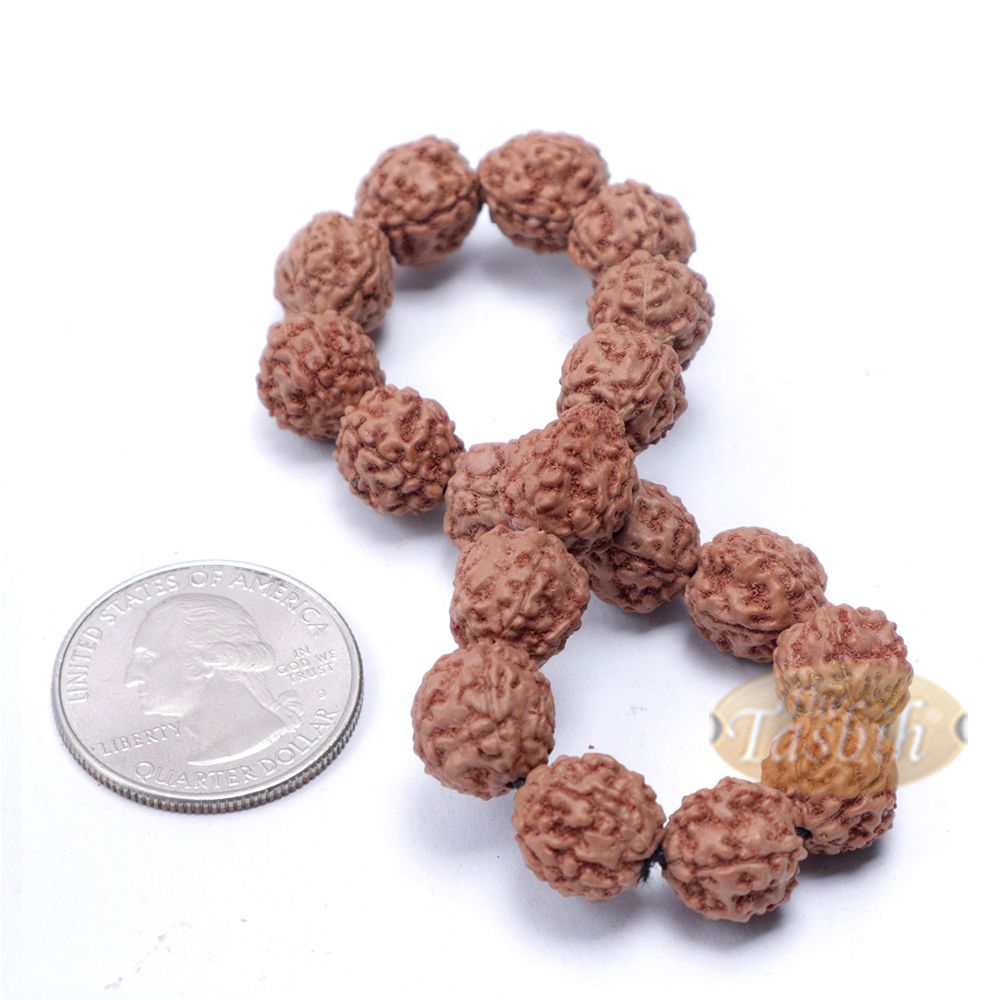 Rudraksha Beaded Bracelet – 10 mm Jenitri Seed Healing Prayer Beads with 19 Beads On Elastic Cord