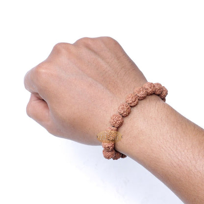 Rudraksha Beaded Bracelet – 10 mm Jenitri Seed Healing Prayer Beads with 19 Beads On Elastic Cord