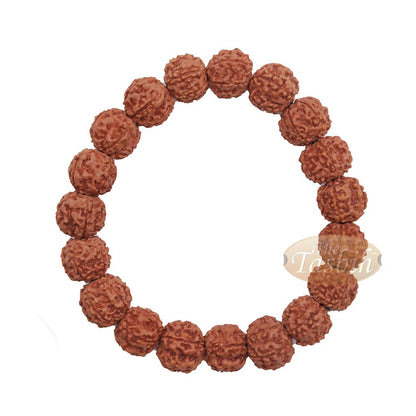 Rustic Exotic Handmade Bracelet Jenitri Rudraksha Seed 12 mm with 19 Beads On Black Elastic Cord Unisex