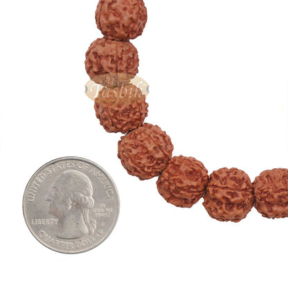 Rustic Exotic Handmade Bracelet Jenitri Rudraksha Seed 12 mm with 19 Beads On Black Elastic Cord Unisex